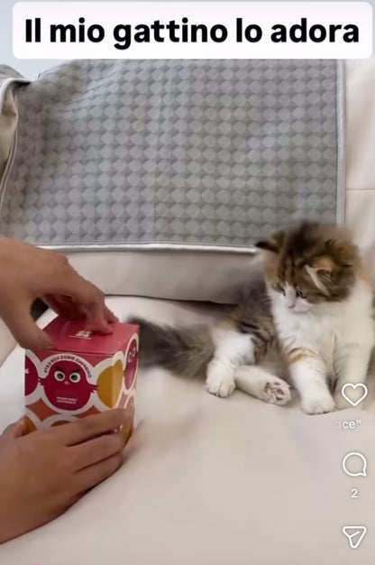 Uccellino interattivo per gatti